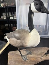 Warfield 1971 Carved Male Canada Goose