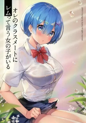 Re:Zero Full Color Illus Doujinshi  Subaru & Rem, Modern Japan, HC, Like
