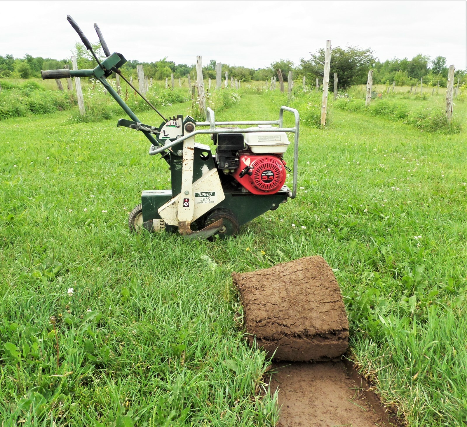 Sod Cutter for sale Only 2 left at 70