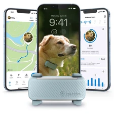 Smart GPS Dog Tracker with Vital Signs Monitoring (Mint)
