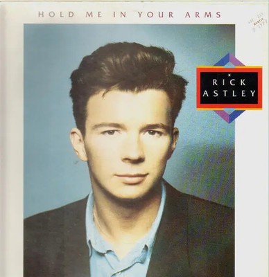 Rick Astley Hold Me In Your Arms NEAR MINT BMG Vinyl LP