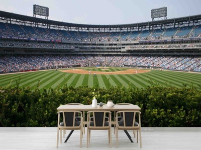 3D Baseball Stadium Landscape Wall Murals Wallpaper Murals Wall Sticker 96