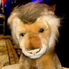 Beautiful Lion Plush Stuffed Animal Toy Realistic   16” Very Good Condition — photo 3