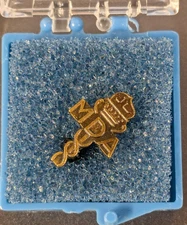 Vintage - Muscular Dystrophy Association MDA Lapel Pin