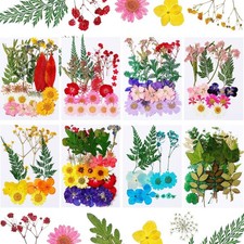 Nuanchu 200 Pcs Dried Pressed Flowers for Resin Natural Real Pressed Flowers ...