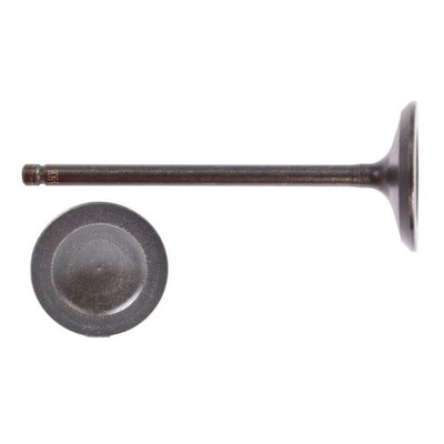 EngineTech Nitrided Stem Intake Valve Pack of 1 Direct Fit