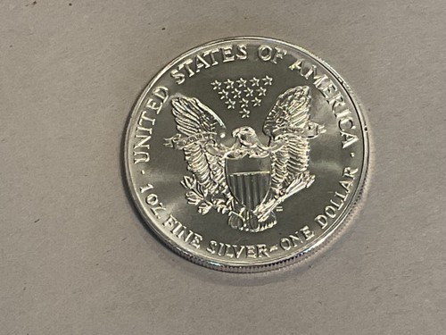 1993 American Silver Eagle .999 1 OZ Frosty White Gem Uncirculated Bullion Coin - Picture 2 of 2