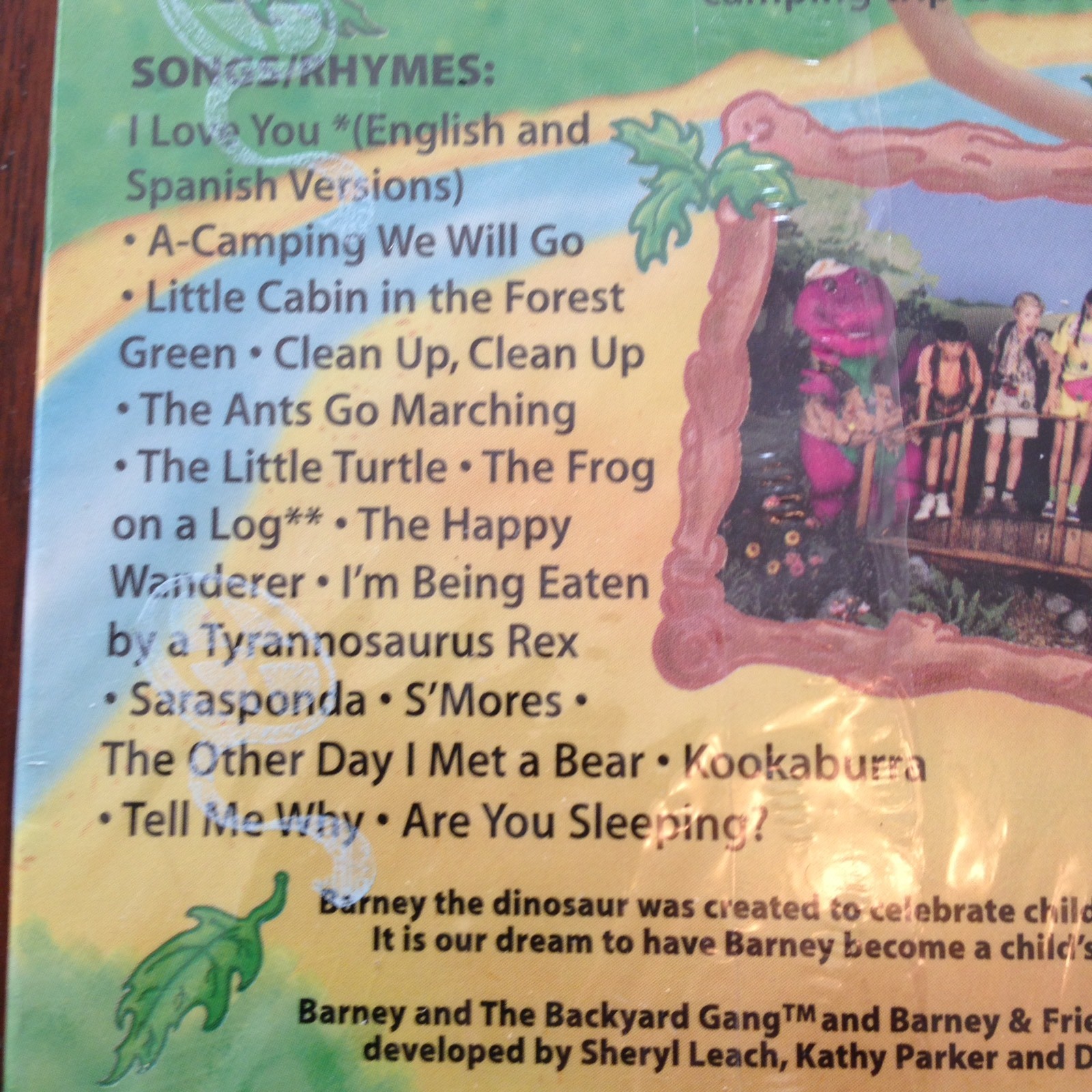 Barney Barneys Campfire Sing Along VHS 1990 Classic Favorite