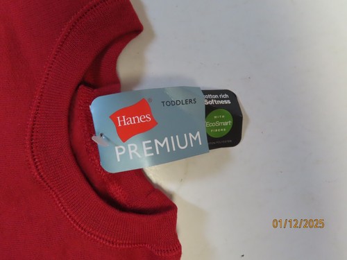 Northern League Stompers Dinosaur theme Hanes premium size 5T red sweatshirt NTW - Picture 2 of 5