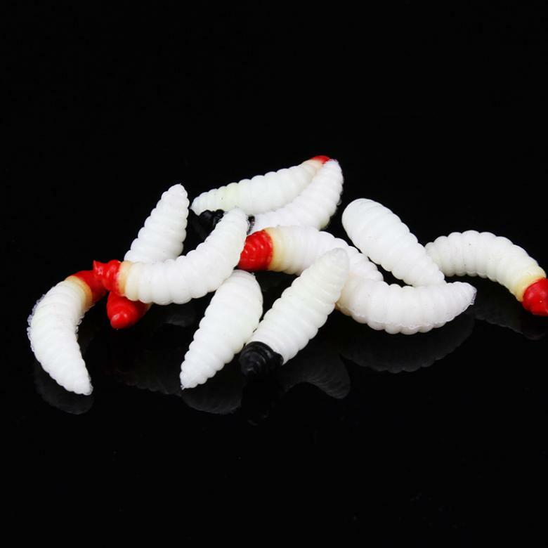 1000 Live Maggots Ice Fishing Bait - White Spikes For Pan Fish & Trout
