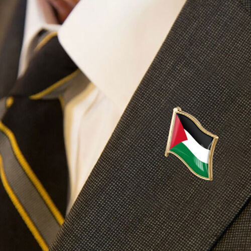 Palestine National Flag Pin Country Flag Metal Lapel Pin Palestine Brooch Badges - Afbeelding 1 van 16