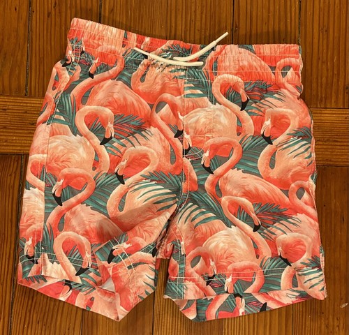 Lot Of Boys Swim Trunks Small 6/7 Old Navy Carters Patriotic Flamingos Leaves - Picture 7 of 15