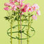 miniatuur 11  - 3 PLANT / FLOWER SUPPORT RINGS 10 INCH ( 25 cm ) FOR USE WITH CANES QUALITY ITEM