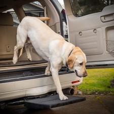 Pet Ramp Step Helps Dogs Get in  Out of Car Van SUV  Portable Lightweight D...
