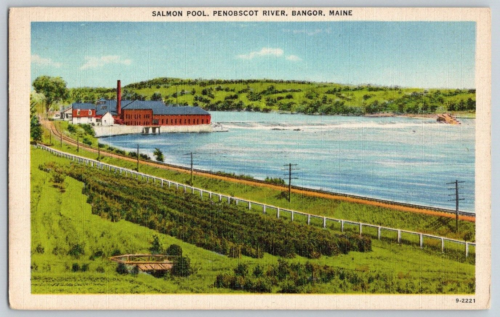 Postcard~ Salmon Pool Penobscot River~ Bangor, Maine - Picture 1 of 2