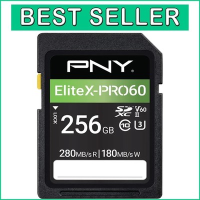 Professional 256GB EliteX SD Card: UHS-II, V60 Rated for Ultimate Performance/-