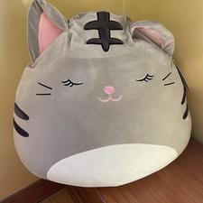 squishmallow tally 24