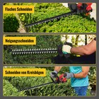 Bild 12 von 13