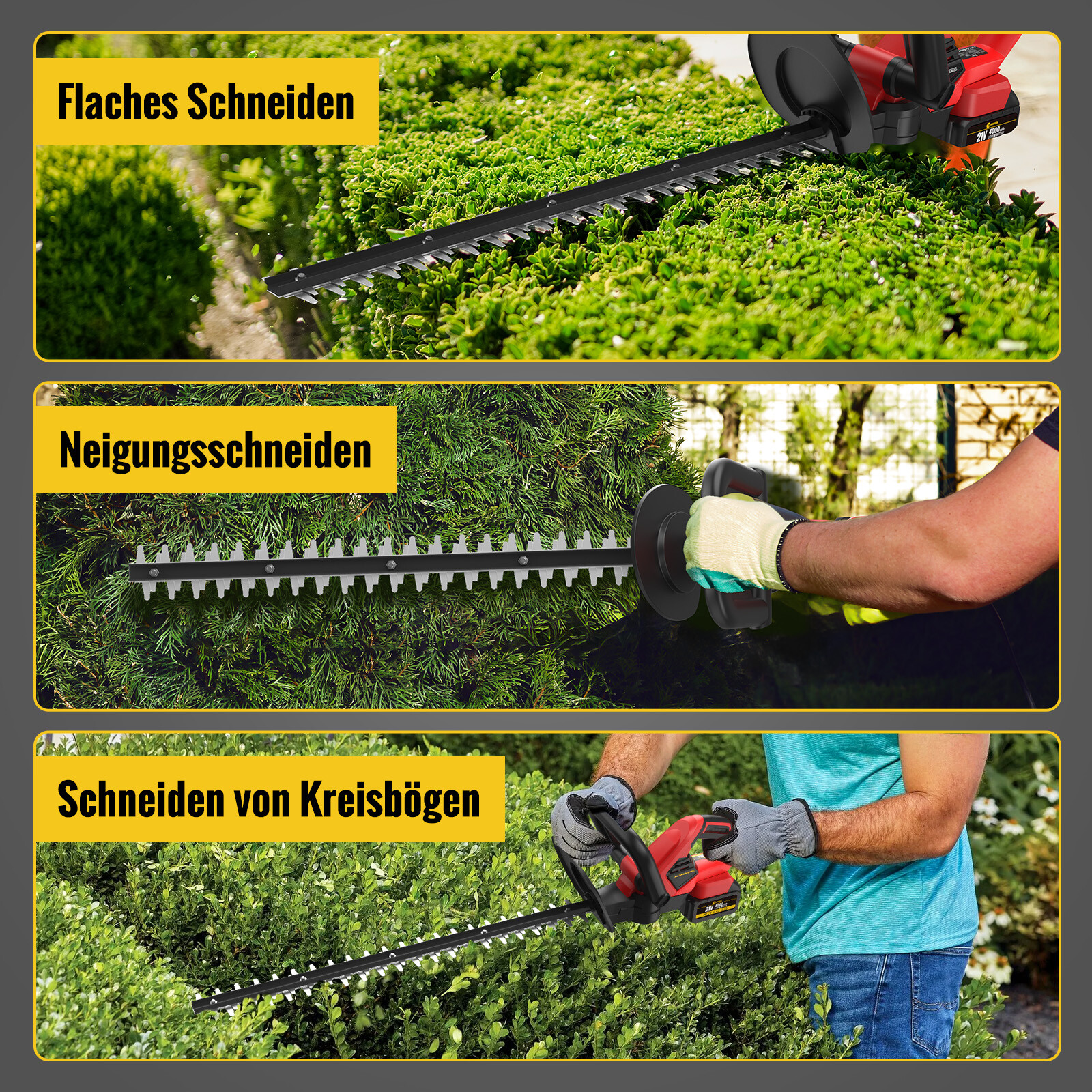 Bild 12 von 13