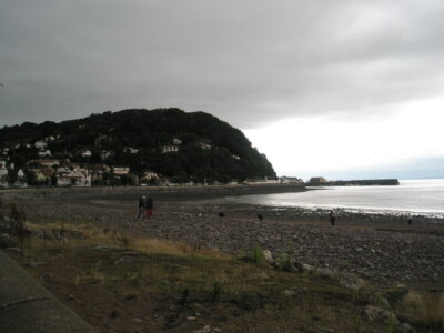 Foto 6x4 Hardy Seelen trotzen den Elementen am Minehead Beach c2008