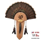 Pack Oak Carved Turkey Fan Mounting Kit with Beard Plate Turkey Tail Plaque 1