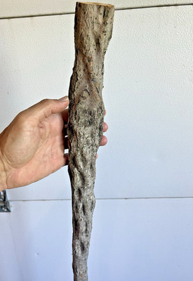57'' Diamond Willow Trekking (AMAZING  s) Walking Stick, Wood CARVING, Cane