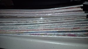 スタンピンアップ　DSP 12インチ　110枚！ スタンピンアップ DSP 12インチ 110枚！ 【公式通販】