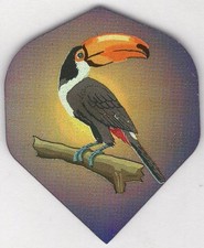 TOUCAN Dart Flights: 3 per set