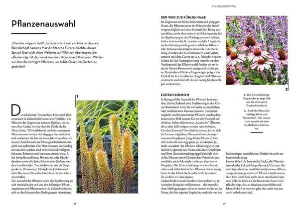 Thumbnail - Oase - Kühler Garten