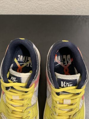 Nike Xavier Schipani x Dunk Low SB (PS) Be True Size 11 C