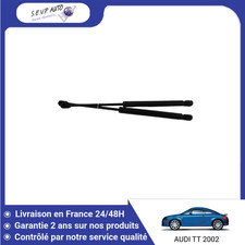 Verin de hayon / de capot Audi TT