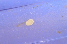 Lèche roue YAMAHA YZF 1000 R1 1998 à 1999 - photo 1