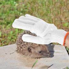 Anti Bite Gloves Pet for Biting Hamsters Animal Handling Cats Grooming