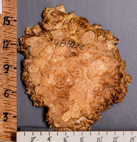  5A Burl Maple Lumber with Live Edge 13" X 16" X 1" (NWT-7882C)