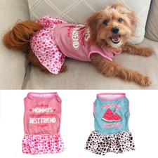 2 Pcs Set Dog Clothes Small Dogs Cute Girl Pr...