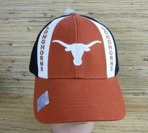 Texas Longhorns Design Art for Texas 