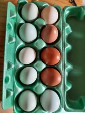 Täglich Frische Eier