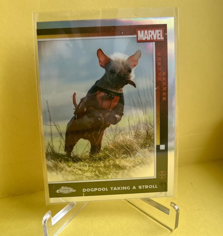 2025 Topps Chrome Deadpool #73 Dogpool Taking A Stroll - Refractor