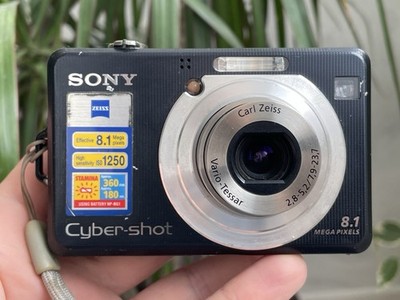 Sony cyber-shot dsc-w100 8.1mp digital camera
