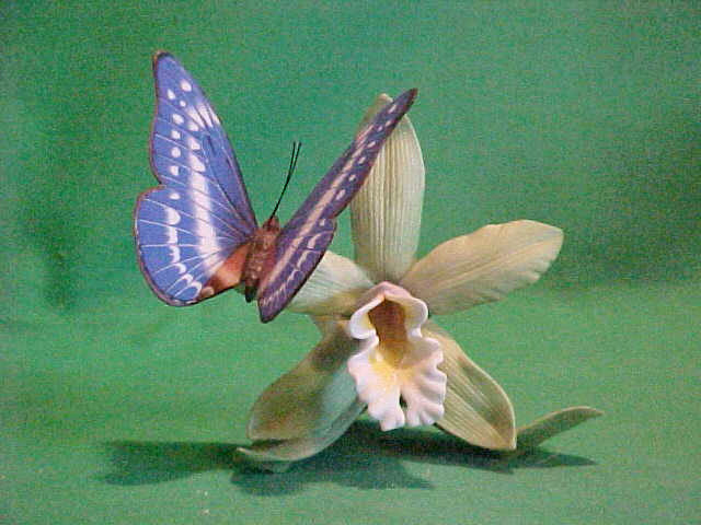 BEAUTIFUL LENOX  RAINFOREST DAZZLER ~ BUTTERFLY on ORCHID ~ 1994 LIMITED EDITION