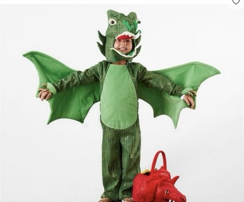 Pottery Barn Kids Baby Toddler Dragon Costume 2 Piece Green 2T Deluxe Premium