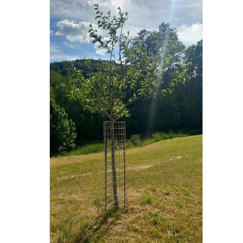 Gabionen Gabionensäule rund Ø35 cm Stein Korb Draht Gitter 1er oder 2er Set Pack - Bild 3 von 4