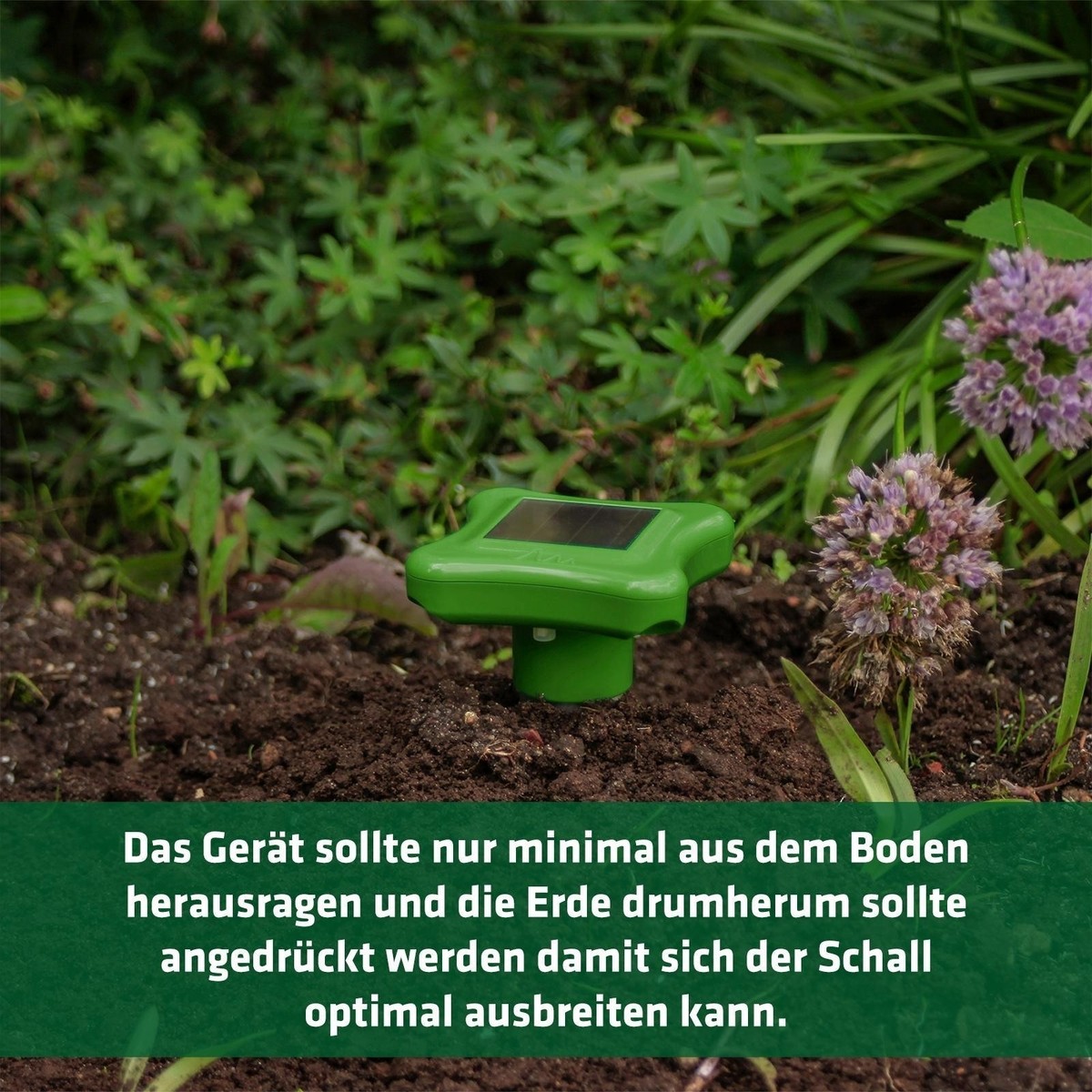 Maulwurfschreck Gardigo Maulwurfabwehr 2er Set Wühlmausschreck Wühltierabwehr - Foto 3