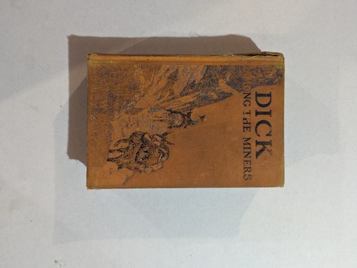Dick Among The miners Book
