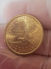 2000 D Sacagawea Native American Dollar
