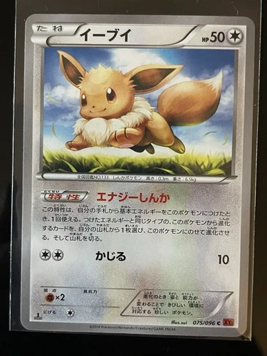 Pokémon Eevee Xy3: Rising Fist 075/096 Common 1st Edition Regular Japanese
