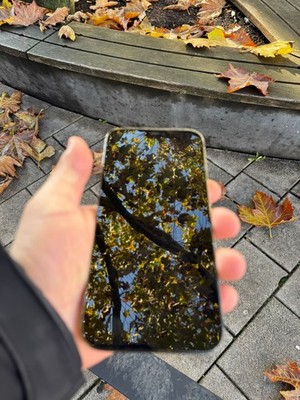 Apple iPhone 12 Pro Max - 256GB - Graphit-(Ohne Simlock) (Dual-SIM)