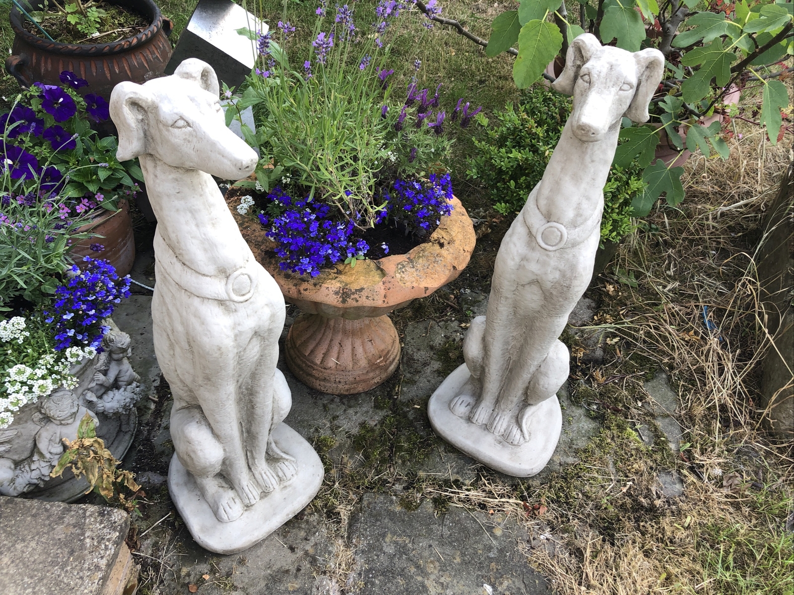 Greyhounds Salukis whippets Lurchers concrete garden statue ornaments
