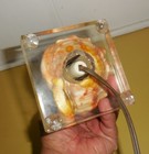 Bild 8 von 9