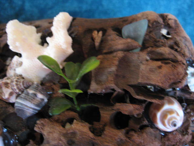 Picture 5 of 10